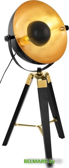 Лампа Eglo Covaleda 49617 - фото