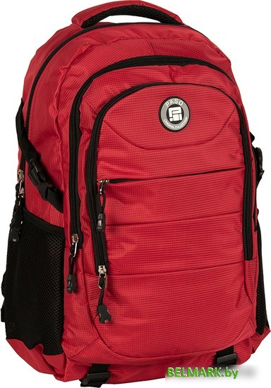 Городской рюкзак Paso 22-30060RE - фото