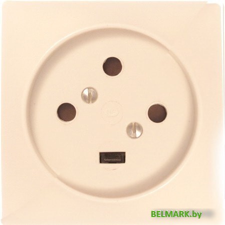 Розетка Legrand 55425 (слоновая кость) - фото