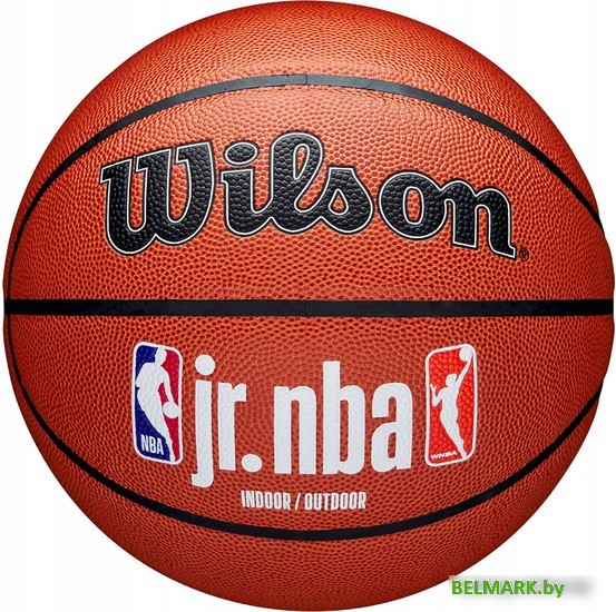 Баскетбольный мяч Wilson JR.NBA Fam Logo Indoor Outdoor WZ2009801XB7 (размер 7) - фото