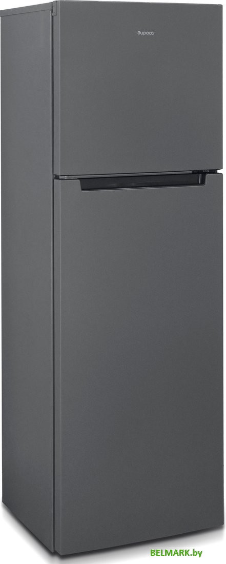 Холодильник Бирюса W6139 - фото