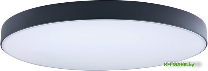 Люстра-тарелка LOFT IT Axel 10002/48 Black - фото