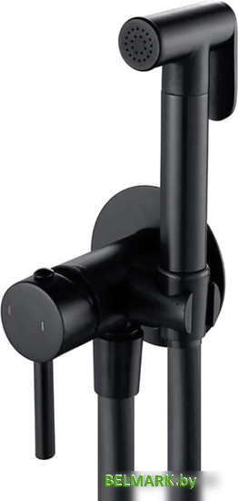 Гигиенический душ Shevanik S147H - фото