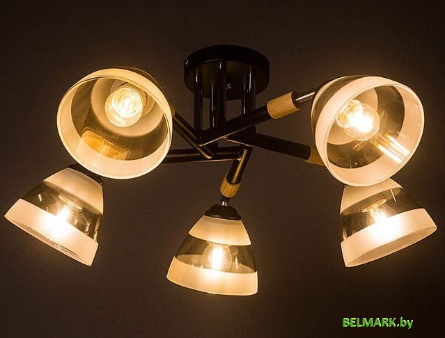 Подвесная люстра Aitin Pro НПБ 02-5х60-101 C1315/5 (черный) - фото2