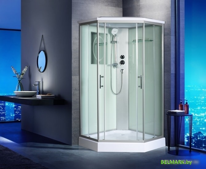 Душевая кабина WeltWasser WW500 Nesse 1002 - фото2