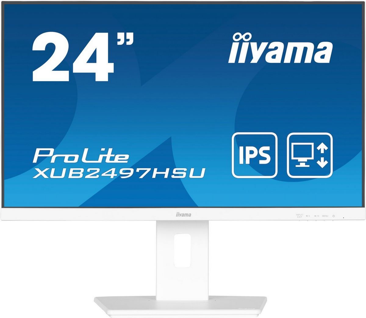 Монитор Iiyama ProLite XUB2497HSU-W2 - фото