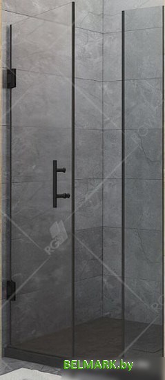 Душевая дверь RGW HO-012B 110 (черный/прозрачное стекло) - фото