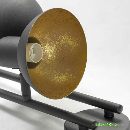 Спот Lussole Loft GRLSP-9976 - фото2