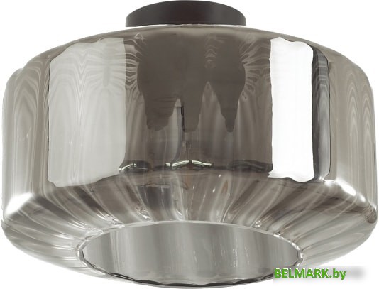 Люстра средней высоты Odeon Light Binga 4746/1C - фото