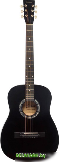 Акустическая гитара Terris TF-385A BK - фото