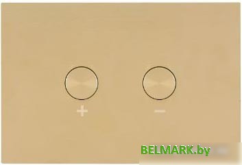 Панель смыва OLI Blink 878781 (белое золото) - фото