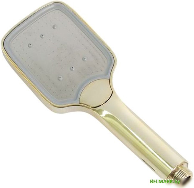 Душевая лейка Ledeme LD002G (золото) - фото