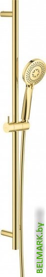 Душевой гарнитур Deante Arnika Gold NQA Z51K - фото
