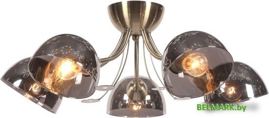 Люстра средней высоты Lussole LSP-8368 - фото