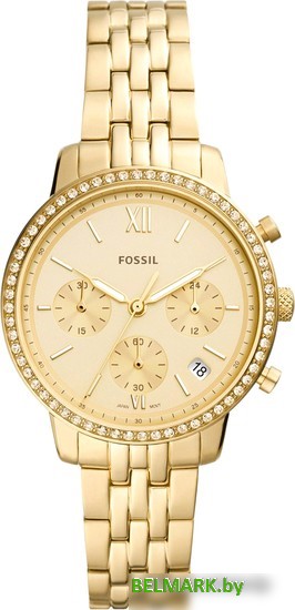 Наручные часы Fossil Neutra ES5219 - фото