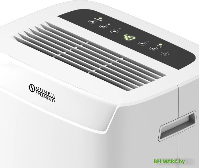 Осушитель воздуха Olimpia Splendid Aquaria S1 10 P - фото2