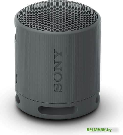 Беспроводная колонка Sony XB100 (черный) - фото