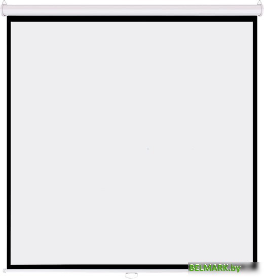 Проекционный экран PL Magna MWM-AV-80 - фото