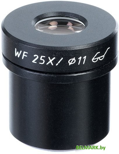 Микромед WF25X Стерео МС-3.4 21155 - фото