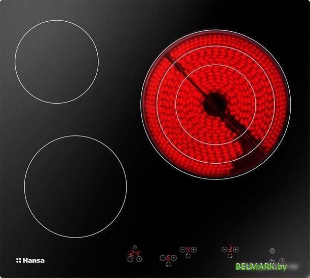 Варочная панель Hansa BHC66216 - фото
