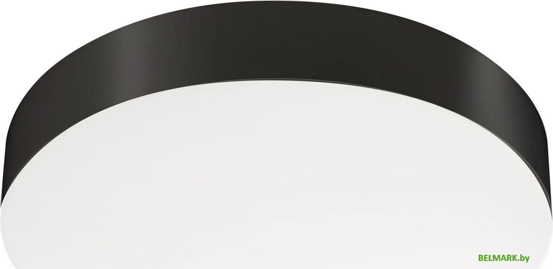 Светильник Arlight SP-FLOWER-R360-18W Day4000-MIX (BK, 110 deg, 230V, MOTION) 042574 - фото