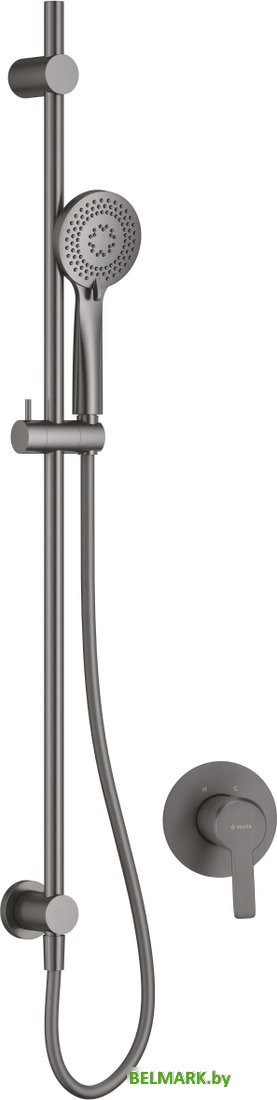 Душевой гарнитур Deante Arnika NAC_D9TP - фото
