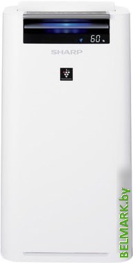 Очиститель и увлажнитель воздуха Sharp KC-G51RW - фото