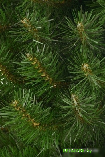 Ель Erbis Jodla 1.8 м - фото2