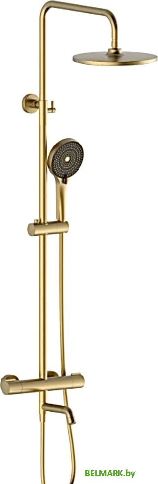 Душевая система Vieir V103564-S - фото