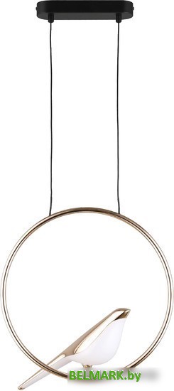 Люстра средней высоты Aployt Astor APL.822.06.10 - фото