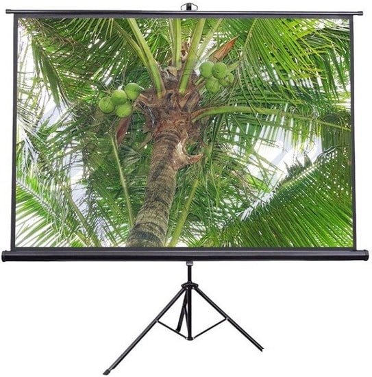 Проекционный экран Future Vision Tripod 200x200 T200SMW - фото