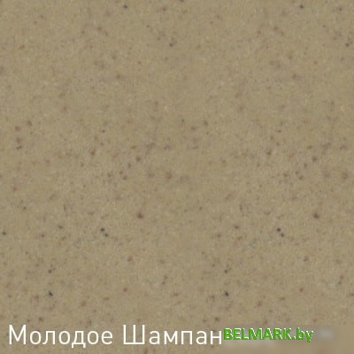 Кухонная мойка Zigmund & Shtain Rechteck 600.2 (молодое шампанское) - фото2