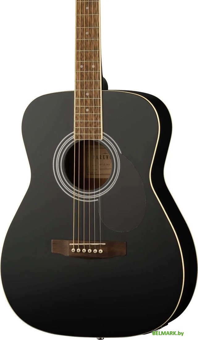 Электроакустическая гитара Parkwood PF51E-WBAG-BKS - фото2