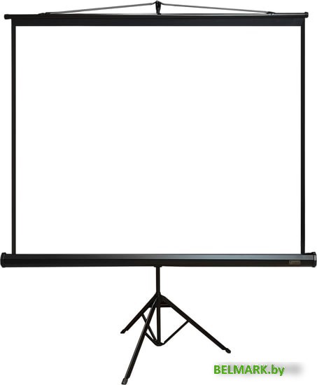 Проекционный экран PL Magna TRM-NTSC-120D - фото