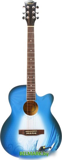 Акустическая гитара Elitaro E4040 Wave - фото