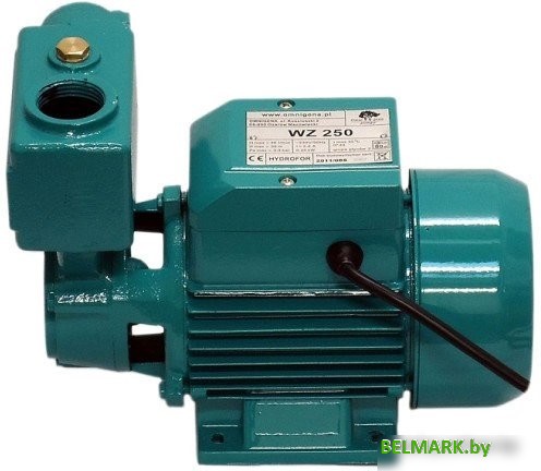 Самовсасывающий насос OMNIGENA WZ 250 - фото