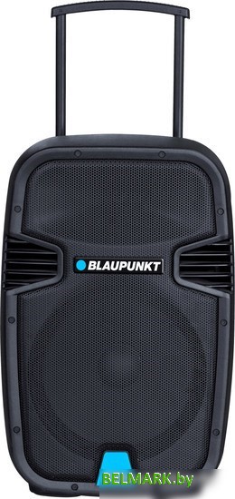 Колонка для вечеринок Blaupunkt PA12 - фото