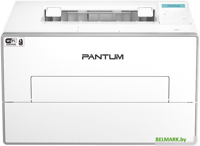 Принтер Pantum BP4210DW - фото
