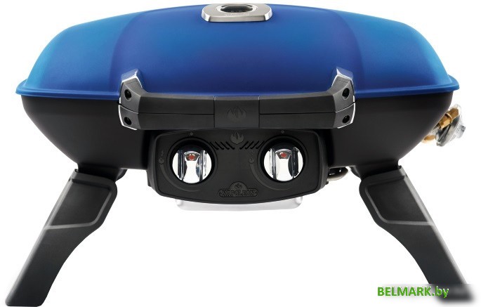 Гриль Napoleon TravelQ-285 - фото