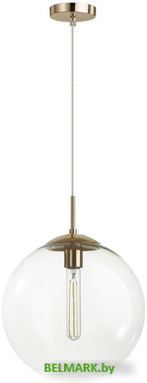 Подвесная люстра Lumion Summer 6509/1A - фото