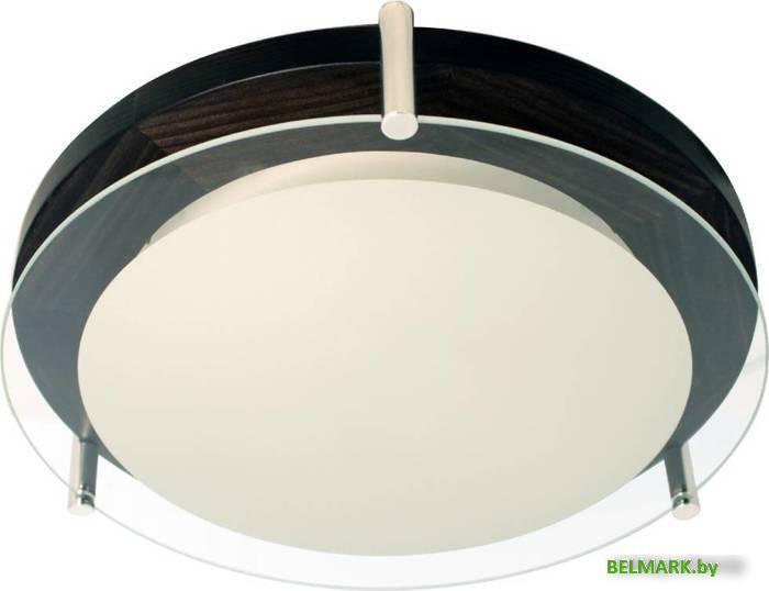 Припотолочная люстра Элетех Полесье 300 НПБ 09-2х40-002 М95 1005205892 (белый/венге) - фото