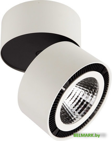 Спот Lightstar Forte Muro 213830 - фото