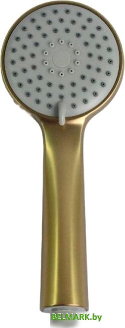 Душевая лейка Ledeme LD003Y (золотой сатин) - фото