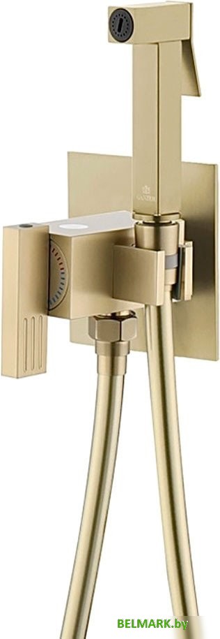 Гигиенический душ Ganzer GZ01157-S - фото