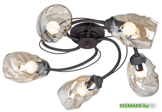 Припотолочная люстра Vitaluce V4927-1/5PL - фото