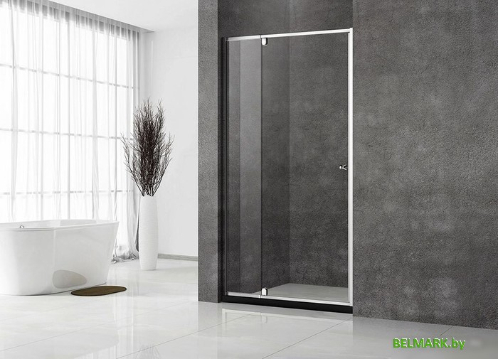 Душевая дверь Veconi VN-32 VN32-90-01-C5 - фото