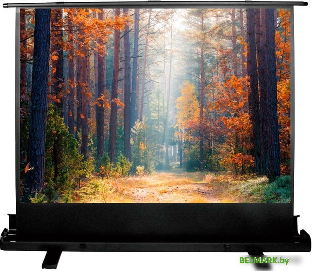 Проекционный экран CACTUS FloorExpert 150x200 CS-PSFLE-200X150 - фото