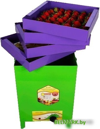 Сушилка для овощей и фруктов УЗБИ Сухофрукт В02 - фото2