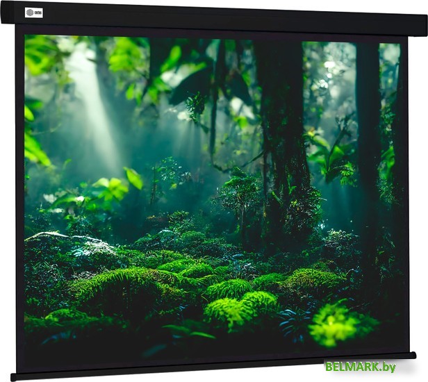 Проекционный экран CACTUS Wallscreen 213x213 CS-PSW-213X213-BK - фото