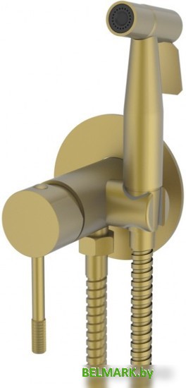 Гигиенический душ Vieir V403553-S - фото